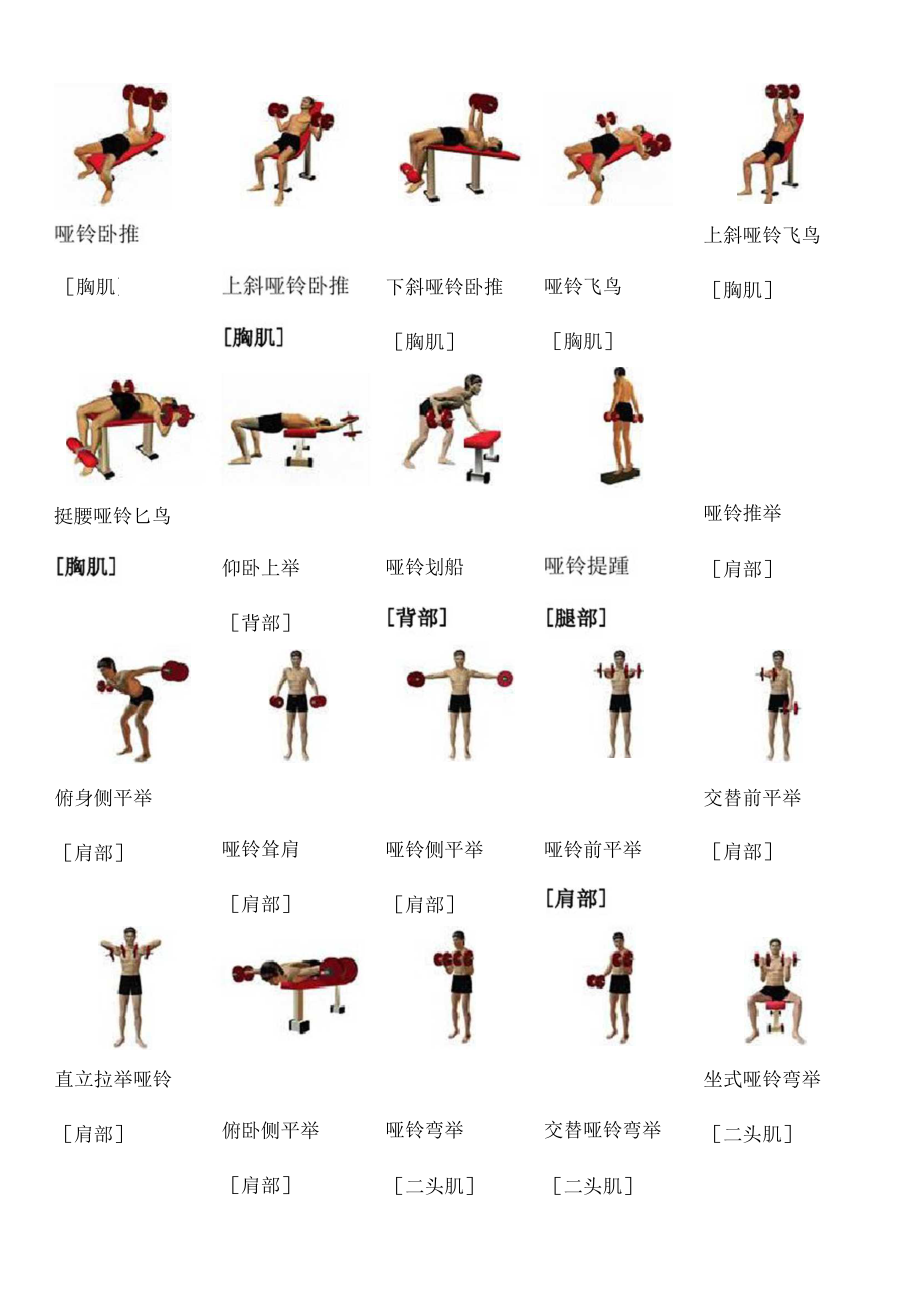 60歲啞鈴訓(xùn)練動作大全，塑造健康與活力的晚年生活，60歲啞鈴訓(xùn)練秘籍，塑造活力晚年，健康動作大全