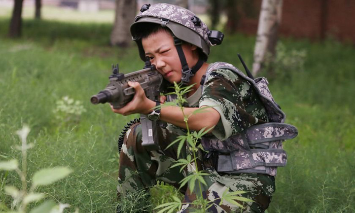 軍事夏令營(yíng)中的老師，塑造未來(lái)的軍事英才，軍事夏令營(yíng)教官，塑造未來(lái)軍事英才的領(lǐng)航者
