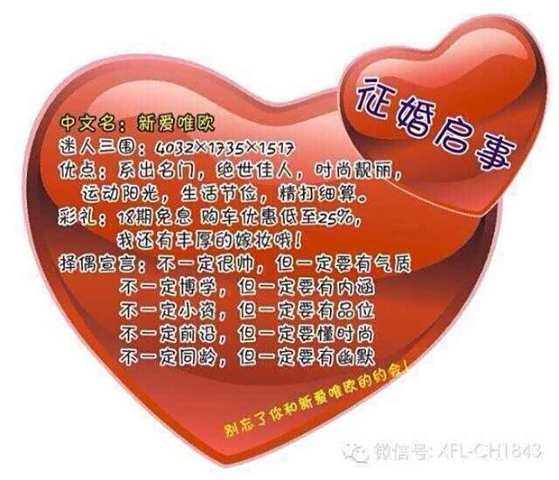 濱州婚介公司征婚啟事——尋找愛情，共筑美好未來(lái)，濱州婚介公司征婚啟事，尋找愛情，攜手共筑美好未來(lái)