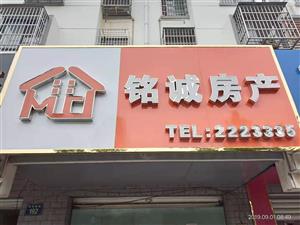雨后彩虹 第14頁