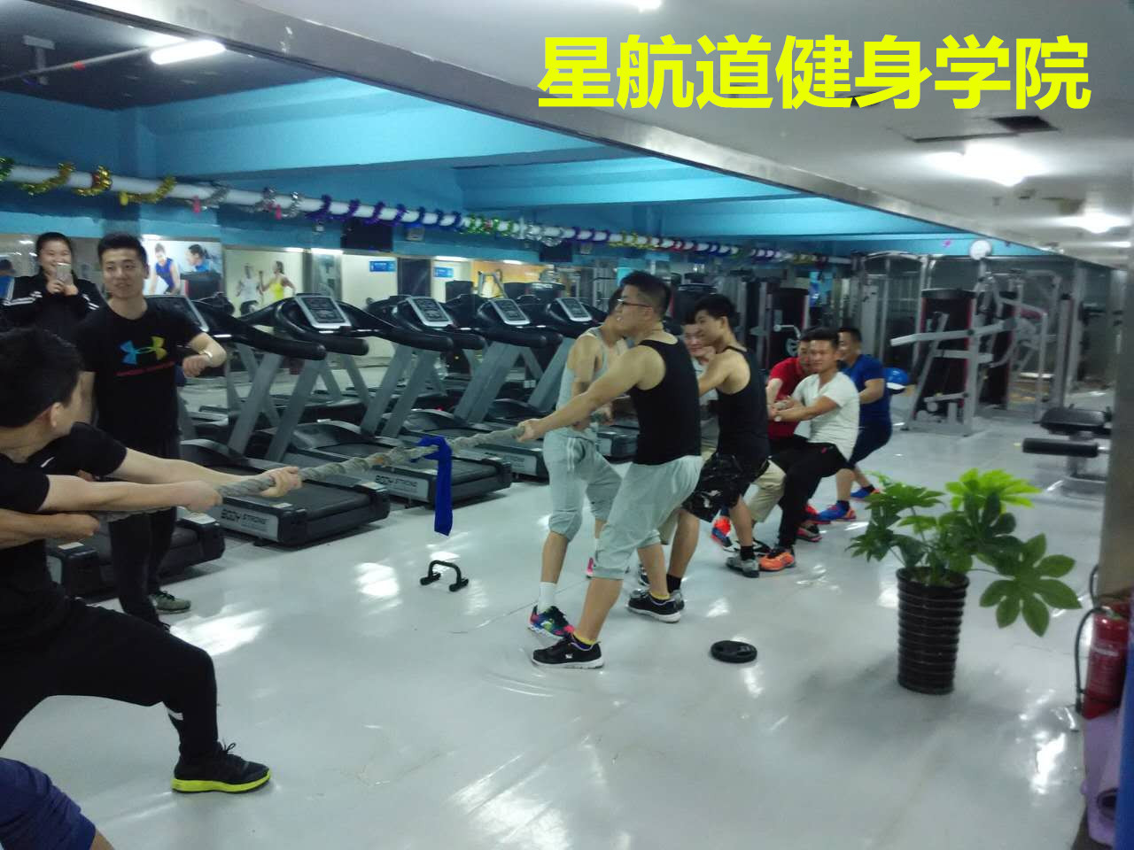 健身專業(yè)的大學(xué)，培養(yǎng)健康領(lǐng)袖的搖籃，健身專業(yè)大學(xué)，培育健康領(lǐng)袖的搖籃