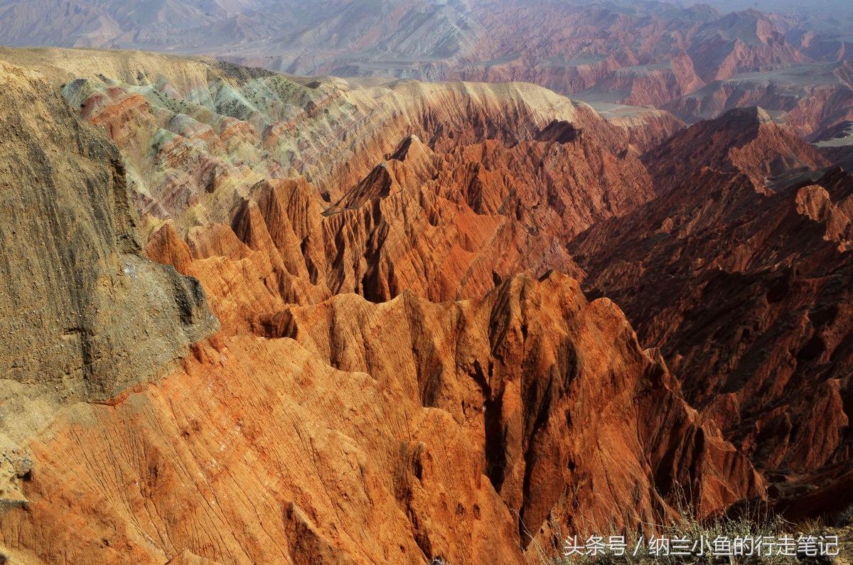 地獄減肥法，15天瘦40斤的挑戰(zhàn)與實(shí)現(xiàn)，地獄減肥法，挑戰(zhàn)與實(shí)現(xiàn)15天瘦40斤目標(biāo)