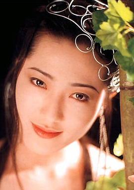 楊思敏全集，探索與賞析，楊思敏全集，深度探索與精彩賞析