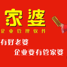 管家婆免費期期精準大全，掌握關鍵信息，助力高效管理，管家婆精準管理秘籍，免費期期關鍵信息大全，助力高效運營
