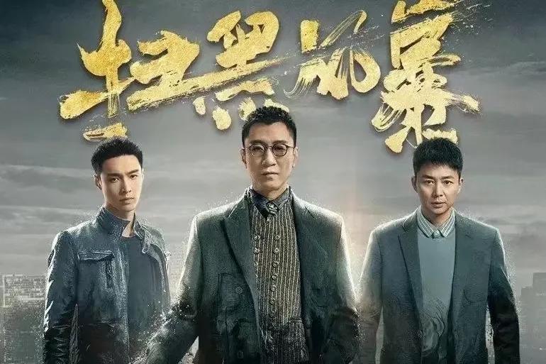 掃黑風(fēng)暴演員表深度解析，掃黑風(fēng)暴演員表全面深度解析