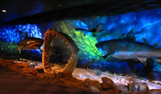 廣州的海洋館，探索神秘的海底世界，廣州海洋館，揭秘神秘海底世界之旅