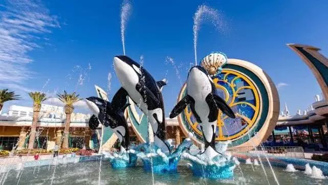 上海海洋海昌海洋公園，探秘奇幻海底世界，探秘上海海洋海昌海洋公園的奇幻海底世界