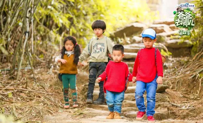 爸爸去哪兒第6季免費(fèi)觀看完整版，親子互動(dòng)與成長之旅，親子成長之旅，爸爸去哪兒第六季免費(fèi)觀看完整版