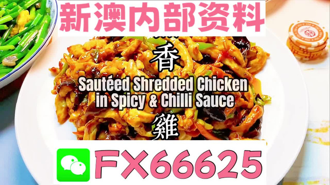 新奧天天精準(zhǔn)資料大全，深度解析與實(shí)際應(yīng)用，新奧天天精準(zhǔn)資料大全，深度解析及實(shí)際應(yīng)用指南