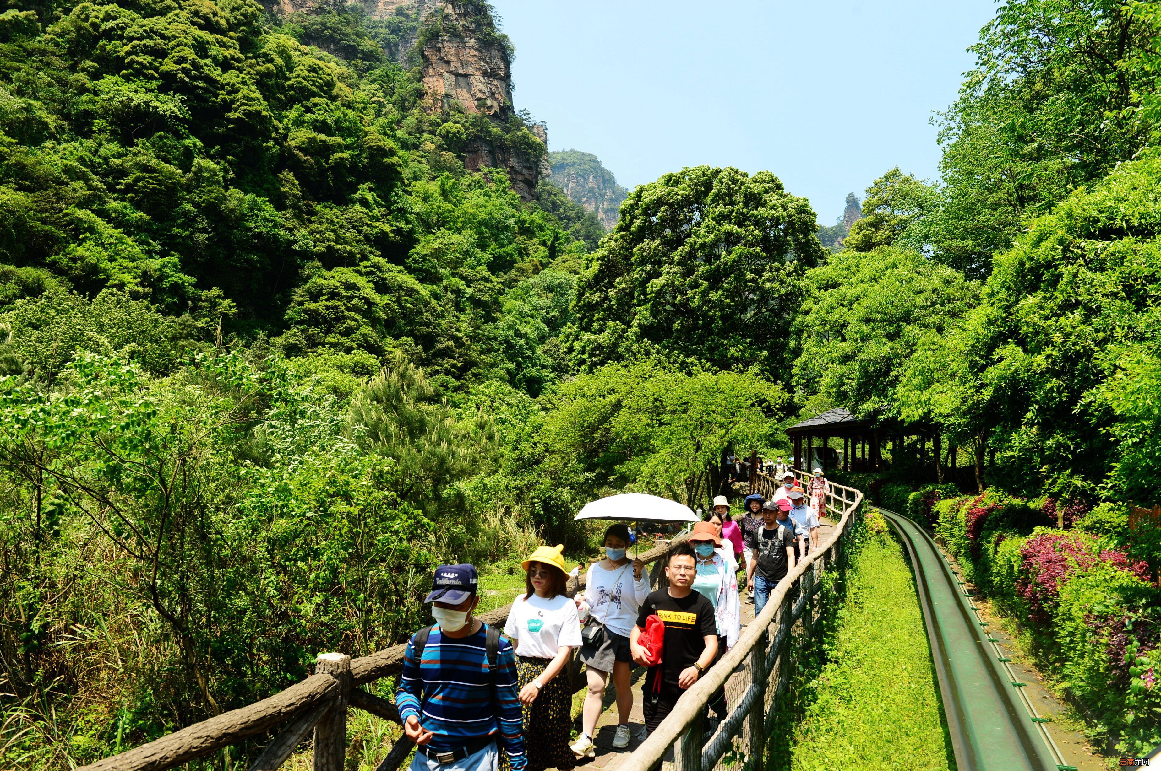 五一一日游，探索最佳旅行目的地，五一探索最佳旅行目的地一日游攻略