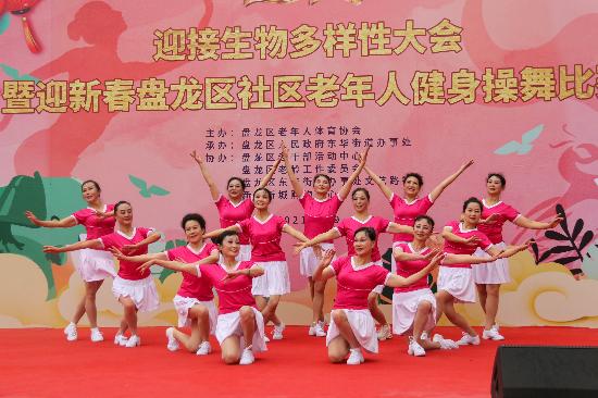 中國健身學(xué)院排行榜，探尋國內(nèi)健身教育的卓越之地，中國健身學(xué)院排行榜，探尋國內(nèi)健身教育的卓越學(xué)府