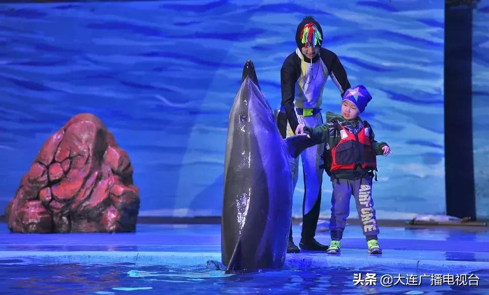 大連老虎灘海洋公園門票優(yōu)惠政策詳解，大連老虎灘海洋公園門票優(yōu)惠政策全面解析