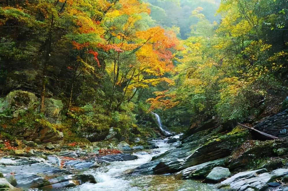 安康旅游景點大全排名，安康旅游景點排名大全