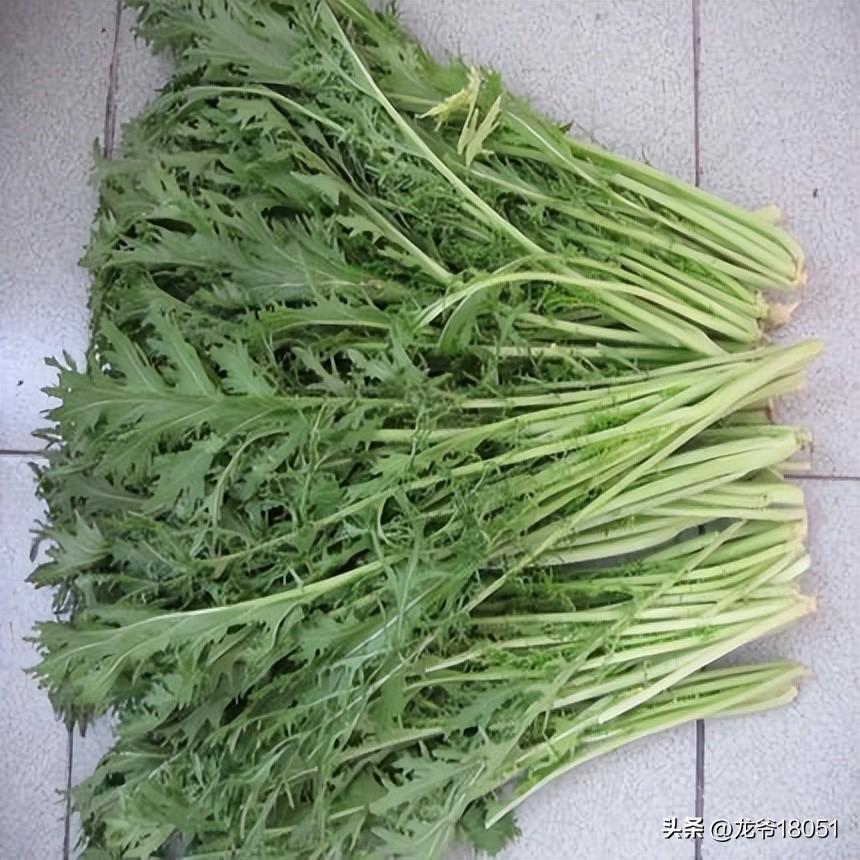芥菜圖片，品味自然之美，領(lǐng)略芥菜獨(dú)特魅力，芥菜之美，自然魅力與獨(dú)特風(fēng)韻的圖片展現(xiàn)