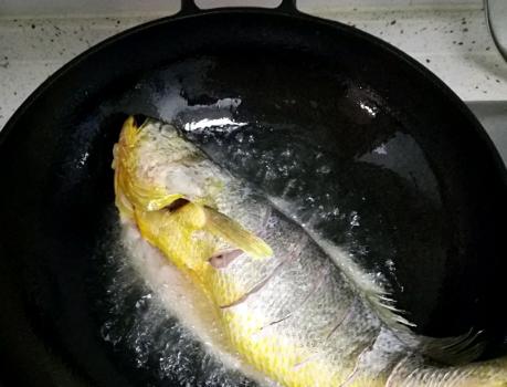 黃花魚的美味烹飪之道，探索多種做法，盡顯魚鮮之美，黃花魚烹飪百味，探索多種做法，盡顯鮮美魚韻