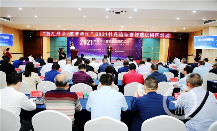 墊江論壇，匯聚智慧，共創(chuàng)未來(lái)，墊江論壇，匯聚智慧，攜手共創(chuàng)未來(lái)