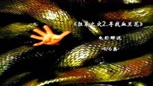 十大蟒蛇電影，經(jīng)典再現(xiàn)，十大蟒蛇電影經(jīng)典回顧