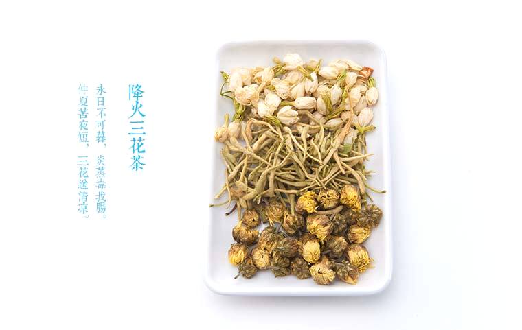 菊內(nèi)留香與金銀花的魅力，菊內(nèi)留香與金銀花，魅力綻放的雙重魅力