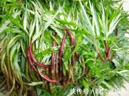 護肝第一名的野菜——探尋野菜中的肝臟守護者，護肝第一名的野菜，野菜中的肝臟守護者探索