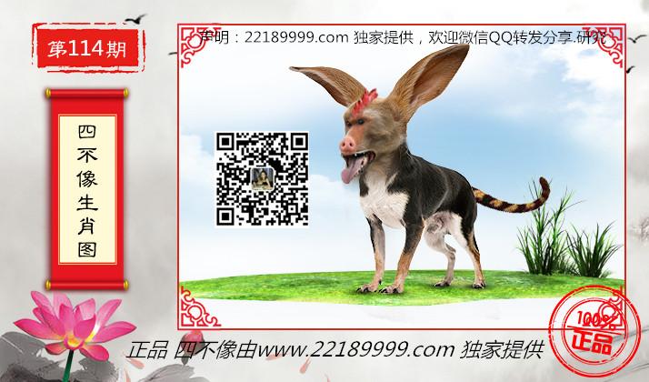 星河漫游 第11頁
