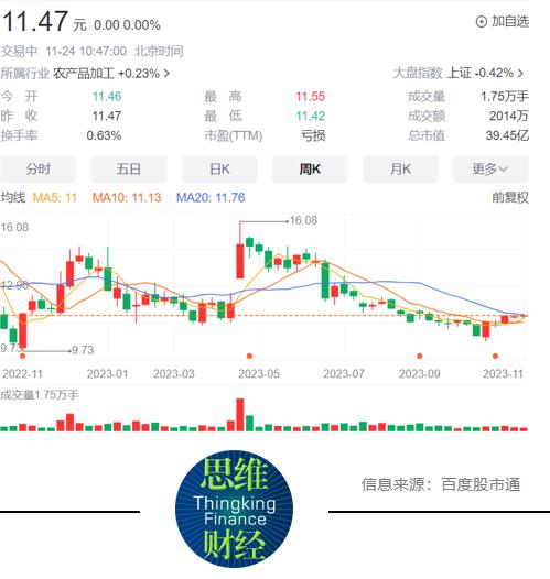 道道全股票股吧，深度解析與前景展望，道道全股票股吧深度剖析與未來前景展望