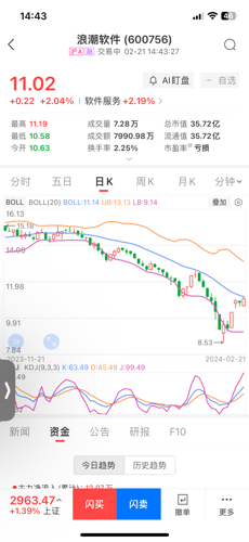 hanwei 第12頁
