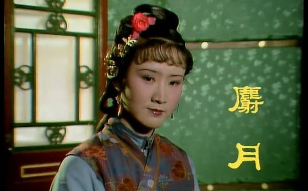 紅樓夢演員表 2010年演員表介紹，紅樓夢演員表揭秘，2010年版角色介紹