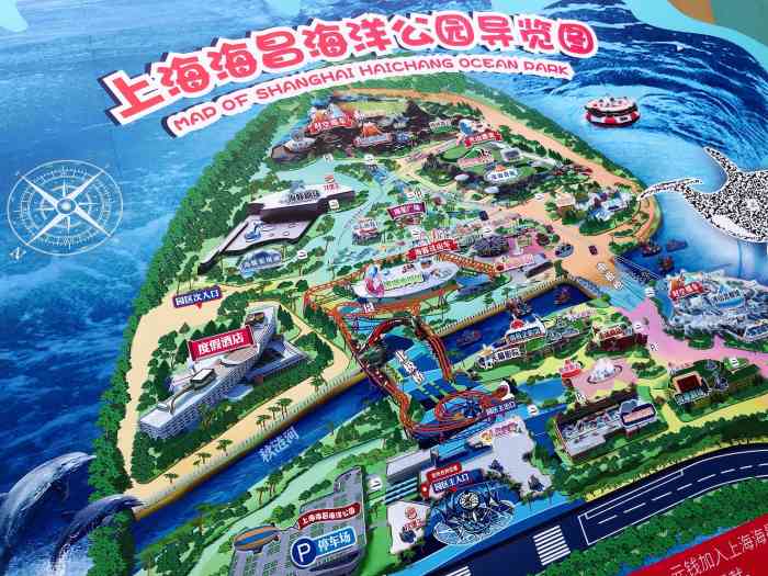 上海海昌海洋公園的奇妙之旅，探索夢(mèng)幻般的海洋世界，上海海昌海洋公園，夢(mèng)幻海洋世界的奇妙探索之旅