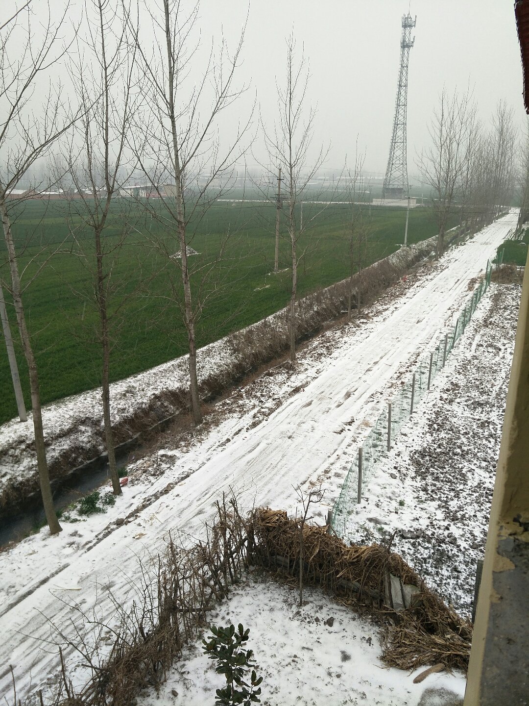 上蔡天氣預(yù)報，洞悉天氣變化，為生活添彩，上蔡天氣預(yù)報，洞悉天氣變化，精彩生活從此開始