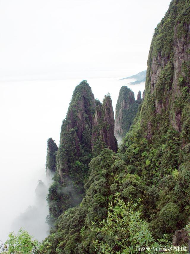 湖南莽山國家森林公園，自然之韻，生態(tài)之旅，湖南莽山國家森林公園，自然生態(tài)之旅的絕美韻味