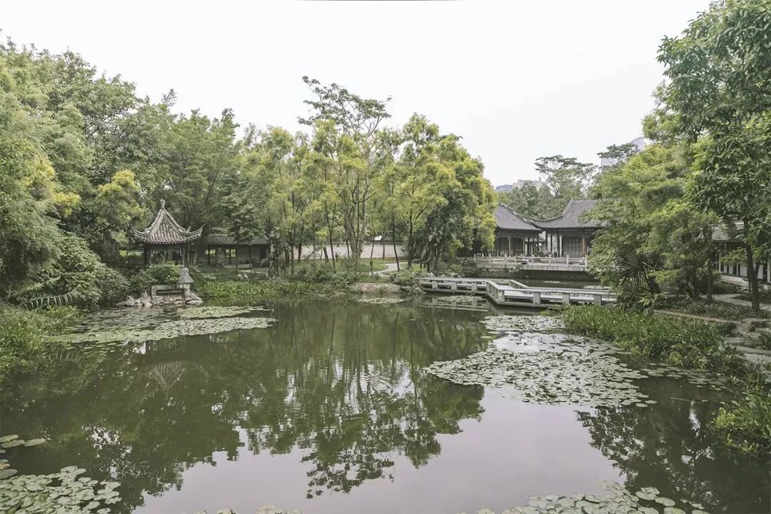 深圳一日游經(jīng)典線路，探索現(xiàn)代化都市的魅力與活力，深圳一日游經(jīng)典線路，探尋現(xiàn)代化都市的魅力與活力之旅