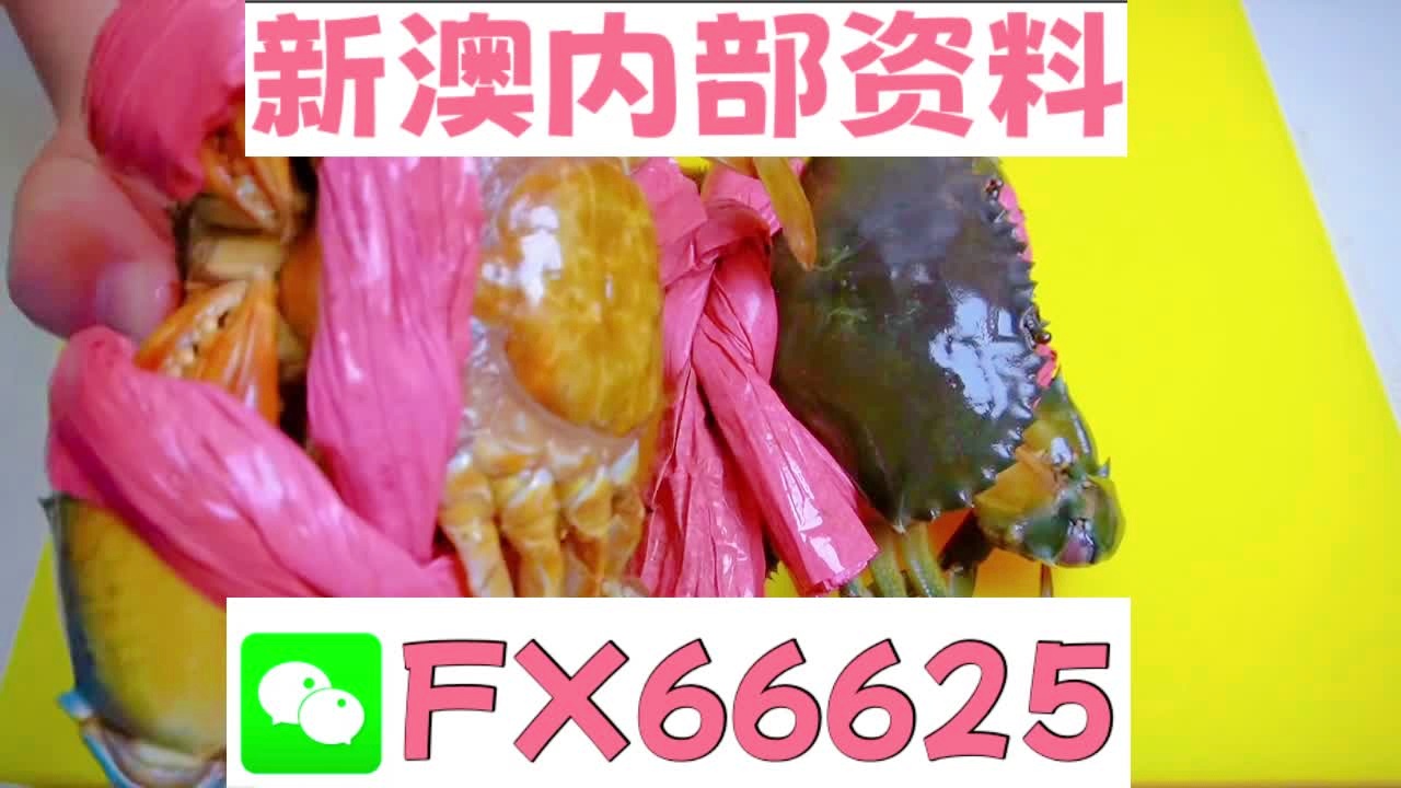2025新澳精準資料大全概覽，2025新澳精準資料大全概覽，全面解讀最新信息