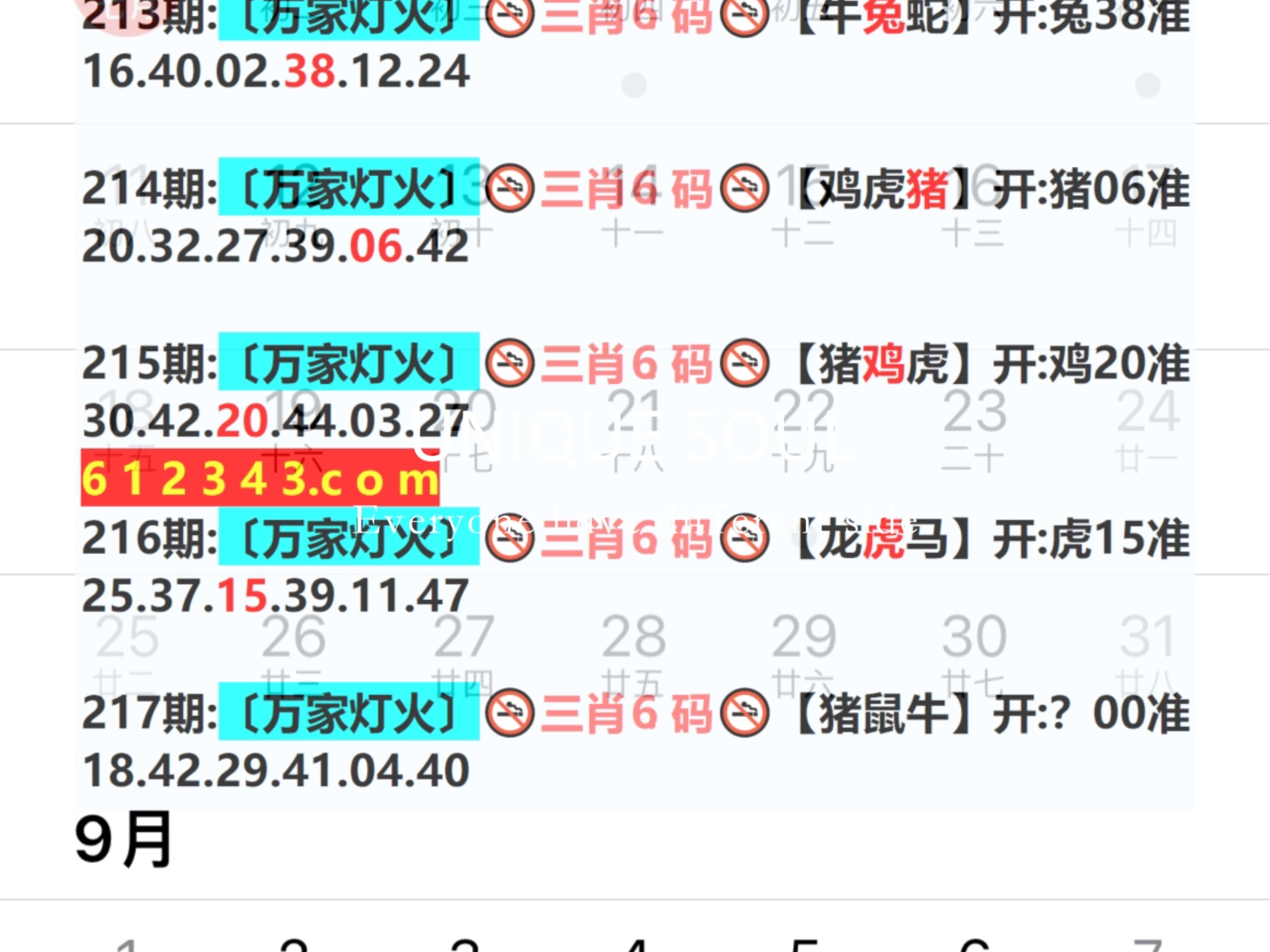 揭秘新澳門(mén)一肖一碼，探尋百分之百準(zhǔn)確預(yù)測(cè)的背后真相，揭秘新澳門(mén)一肖一碼，探尋預(yù)測(cè)背后的真相，百分之百準(zhǔn)確預(yù)測(cè)揭秘