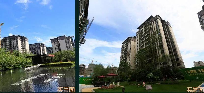 澳門最快開獎資料242，探索與解析彩票世界的神秘面紗，澳門彩票開獎資料探索與解析，揭開彩票世界的神秘面紗 242期速遞