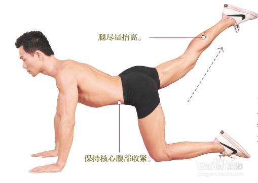 腹肌鍛煉指南