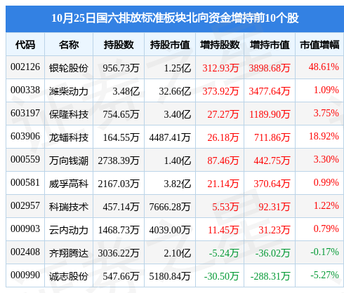 未來展望分析