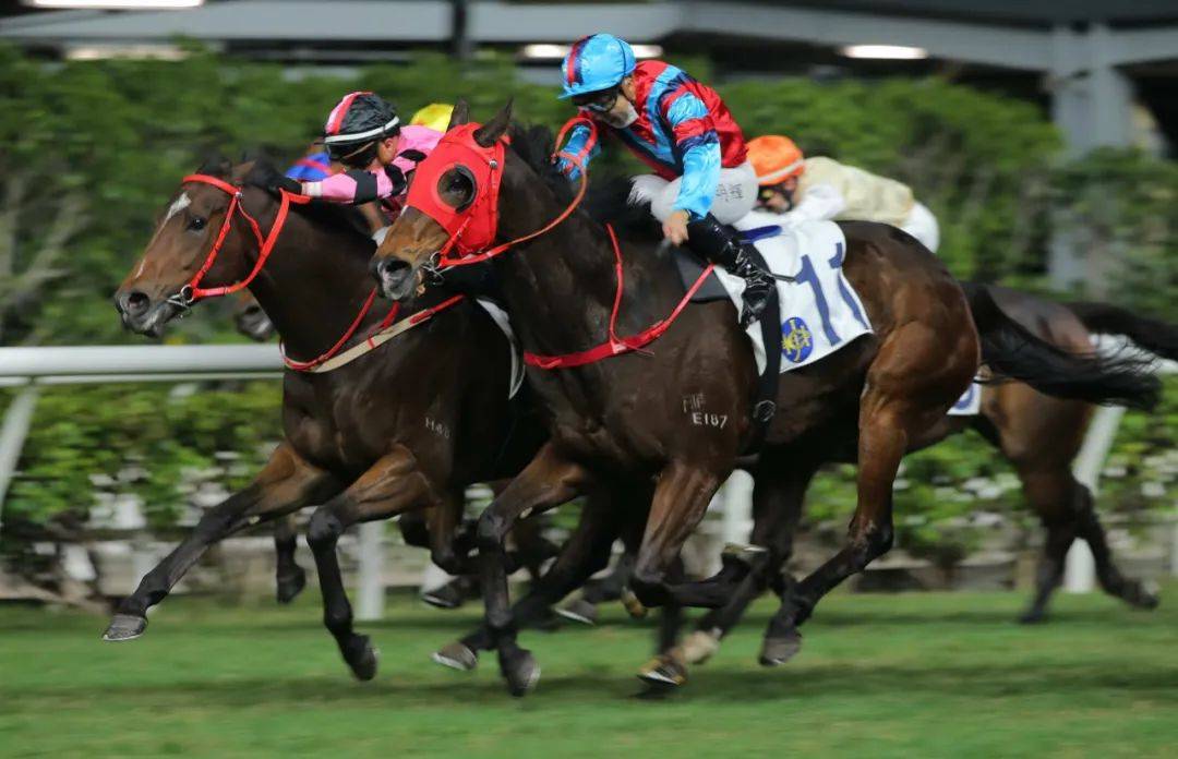 2023年香港馬開獎記錄