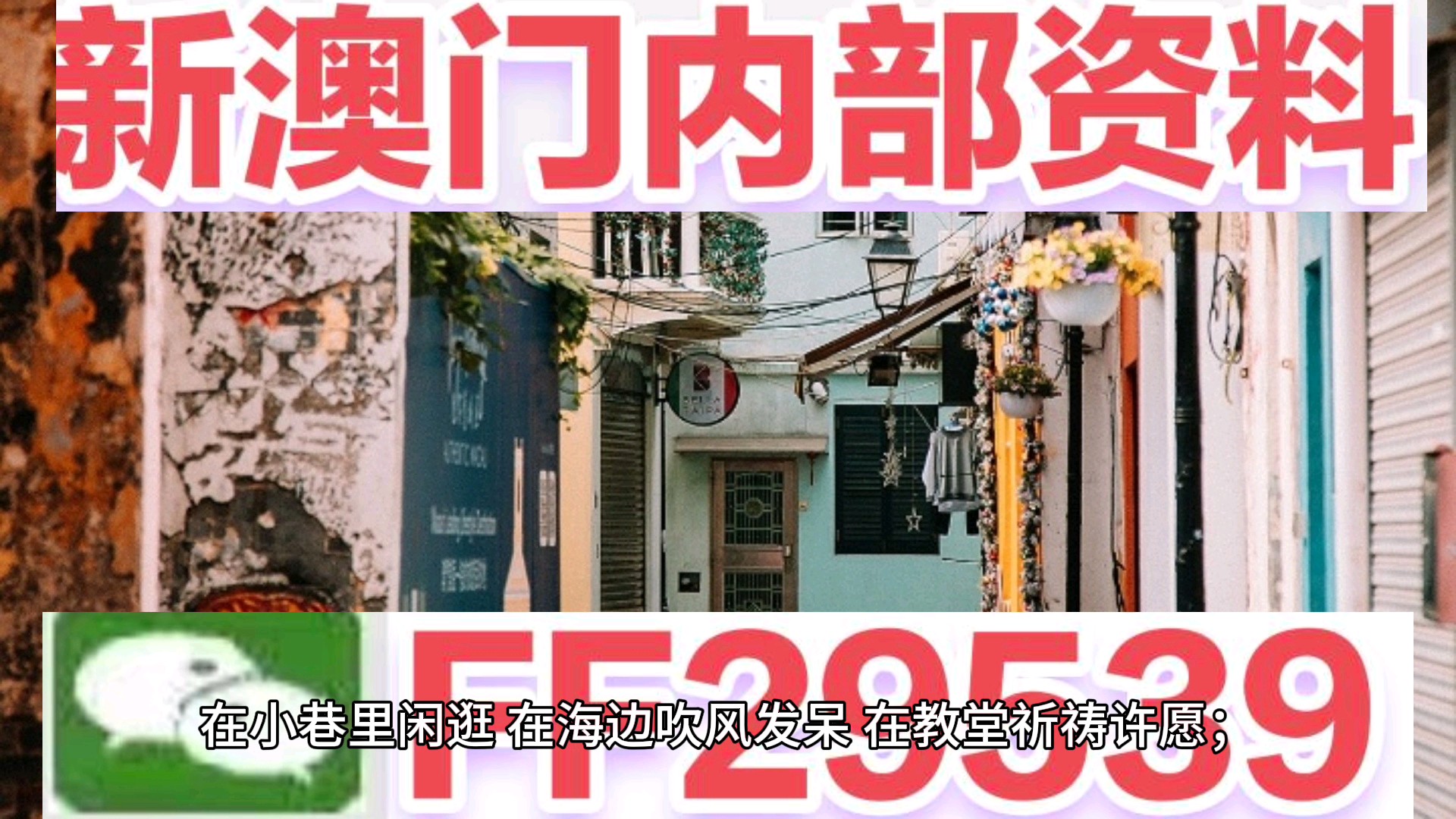澳門碼今晚開獎直播，期待與激情的交匯，澳門碼今晚開獎直播，期待與激情的碰撞