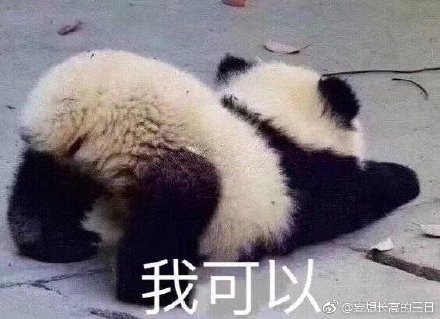 今晚最準四不像的獨特魅力，今晚獨特魅力，最準四不像之夜