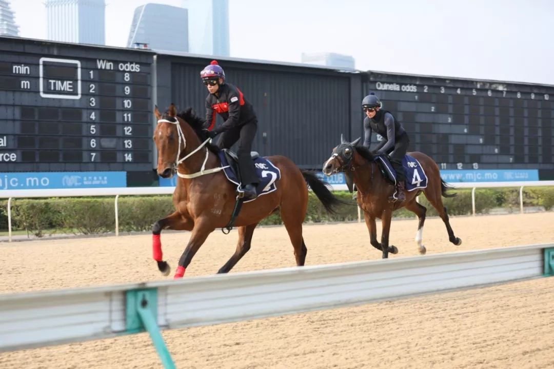 澳門賽馬會，歷史、文化與運動的交融，澳門賽馬會，歷史、文化與運動的完美交融