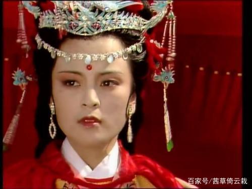 探索正版管家婆軟件的魅力與價值，正版管家婆軟件的魅力與價值探索