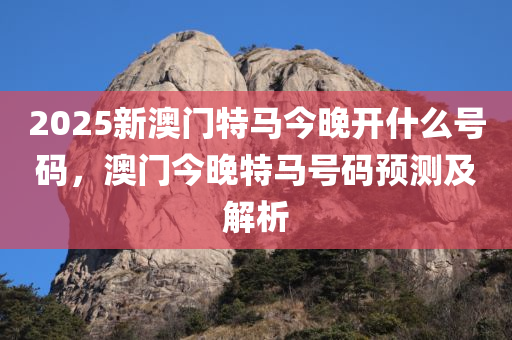 新澳門今晚開特馬，探索與期待，澳門特馬揭曉夜，期待與探索的時刻