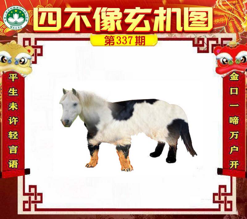 王中王平特一肖四不像，探索與解析，王中王平特一肖四不像，深度探索與解析