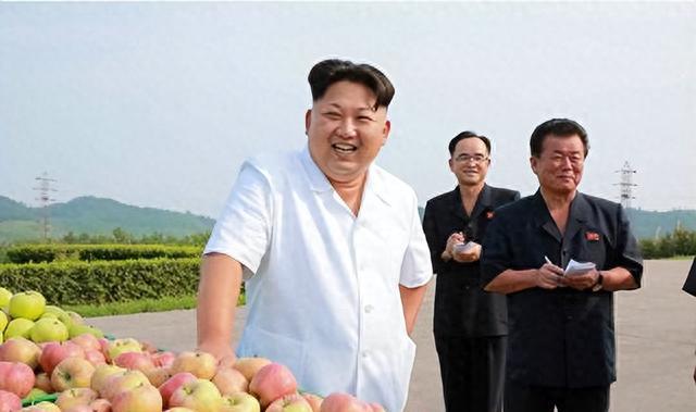 最新軍事新聞，朝鮮援助俄羅斯的背后故事，朝鮮援助俄羅斯的軍事背后故事揭秘