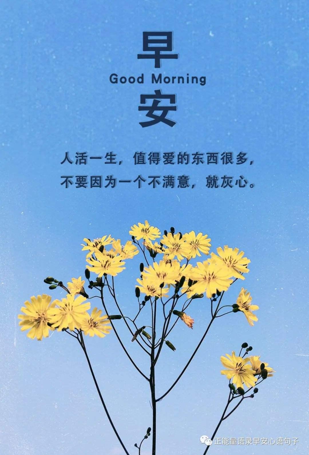 殲-16戰(zhàn)斗機(jī)的服役數(shù)量，見(jiàn)證中國(guó)空軍力量的壯大（2022年最新數(shù)據(jù)），殲-16戰(zhàn)斗機(jī)服役數(shù)量揭秘，中國(guó)空軍力量持續(xù)壯大（2022年最新數(shù)據(jù)）