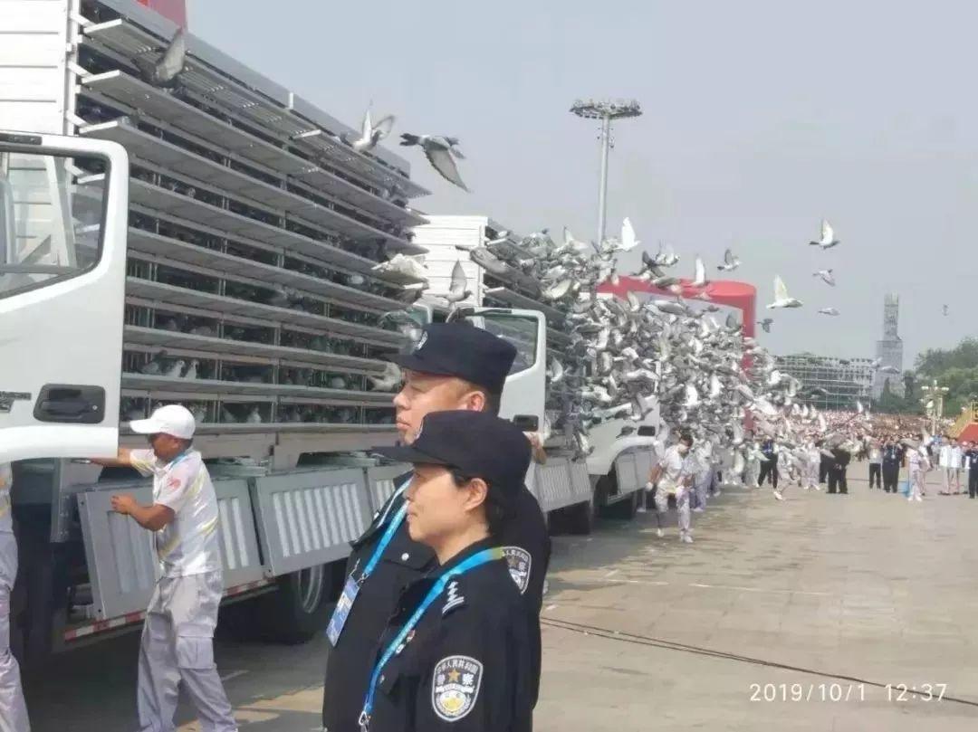 閱兵方陣多少人一排，閱兵式的規(guī)模與排列方式，閱兵方陣排列方式與規(guī)模，多少人一排揭秘