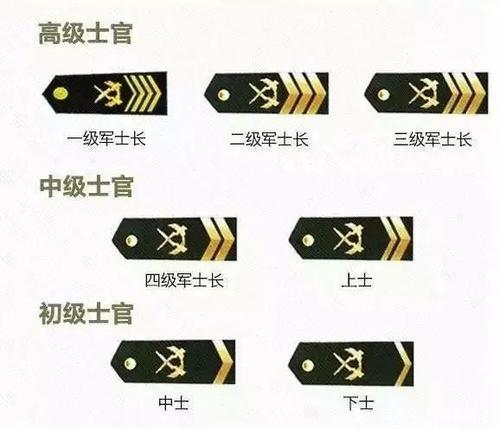 士官與軍官，差異與價值的探討，士官與軍官，差異分析及其價值探討