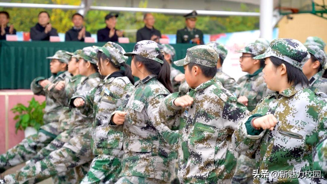 深度探討