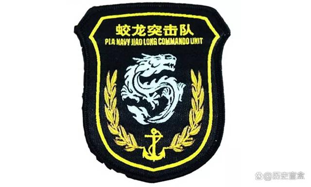 蛟龍突擊隊(duì)臂章矢量圖，榮耀的象征與戰(zhàn)術(shù)的精準(zhǔn)，蛟龍突擊隊(duì)臂章矢量圖，榮耀與戰(zhàn)術(shù)的完美結(jié)合