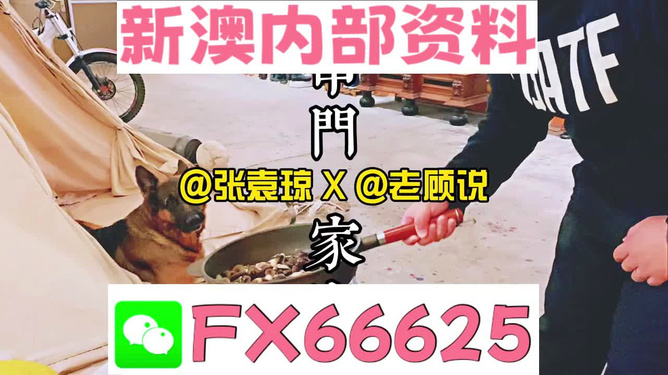 新澳門2025年資料大全管家婆，探索未來的機遇與挑戰(zhàn)，澳門未來展望，機遇與挑戰(zhàn)并存（澳門2025年資料大全管家婆版）